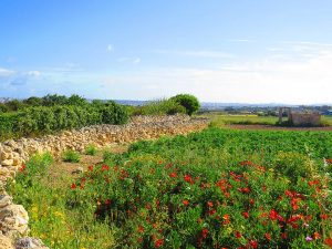 colourful Malta Gozo B&B dar ta Zeppi Qala